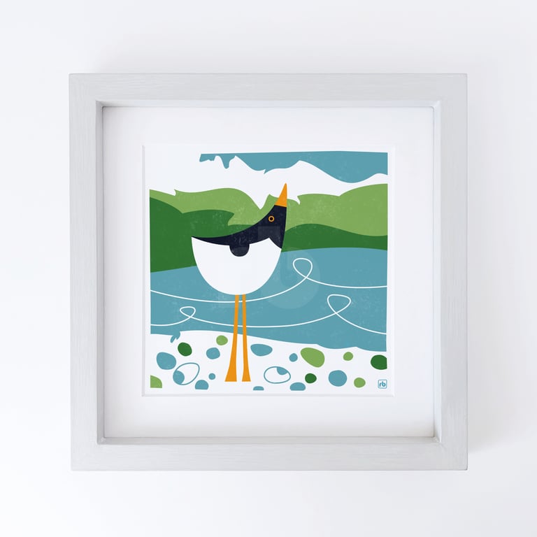 Oystercatcher And Pebbles, bird illustration, Giclee print