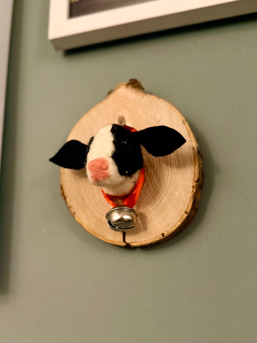 Needle felted cow trophy head wall hanging, faux taxidermy