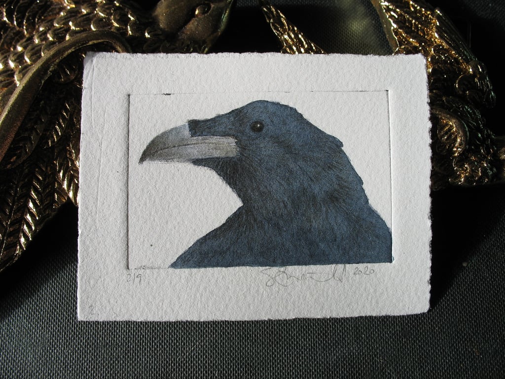 Sweet little raven drypoint etching and watercolour