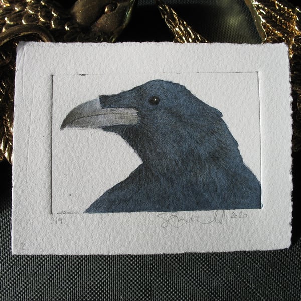 Sweet little raven drypoint etching and watercolour