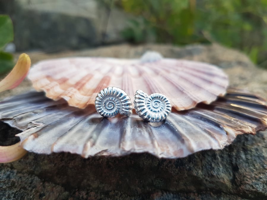 Ammonite Ear Studs