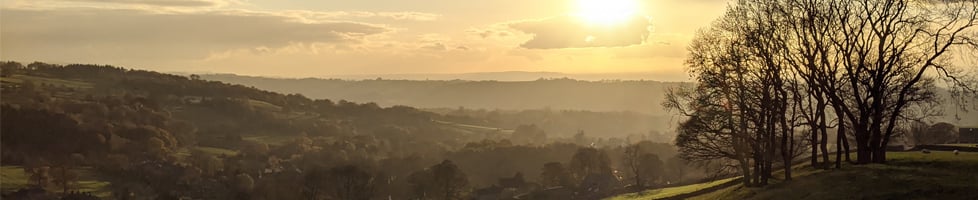 Honest Mistake Design