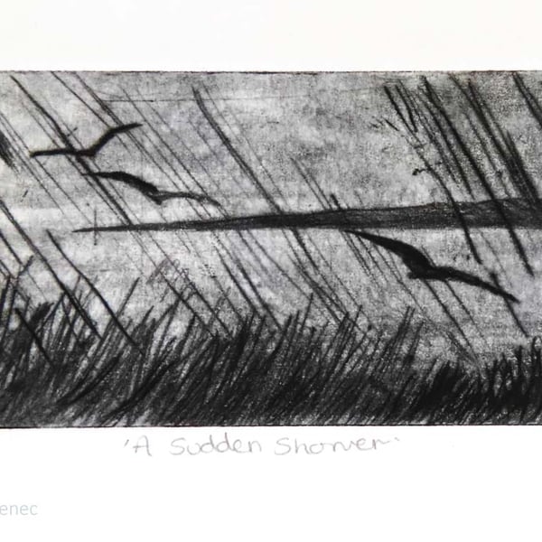 A sudden shower no.2 of 10 drypoint etching coastal mini prints