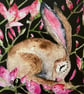 Whimsical Resting Hare Rabbit Surrounded by Pink Flowers Watercolour Print