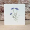 Wildflower Blank Card 'Cornflower'