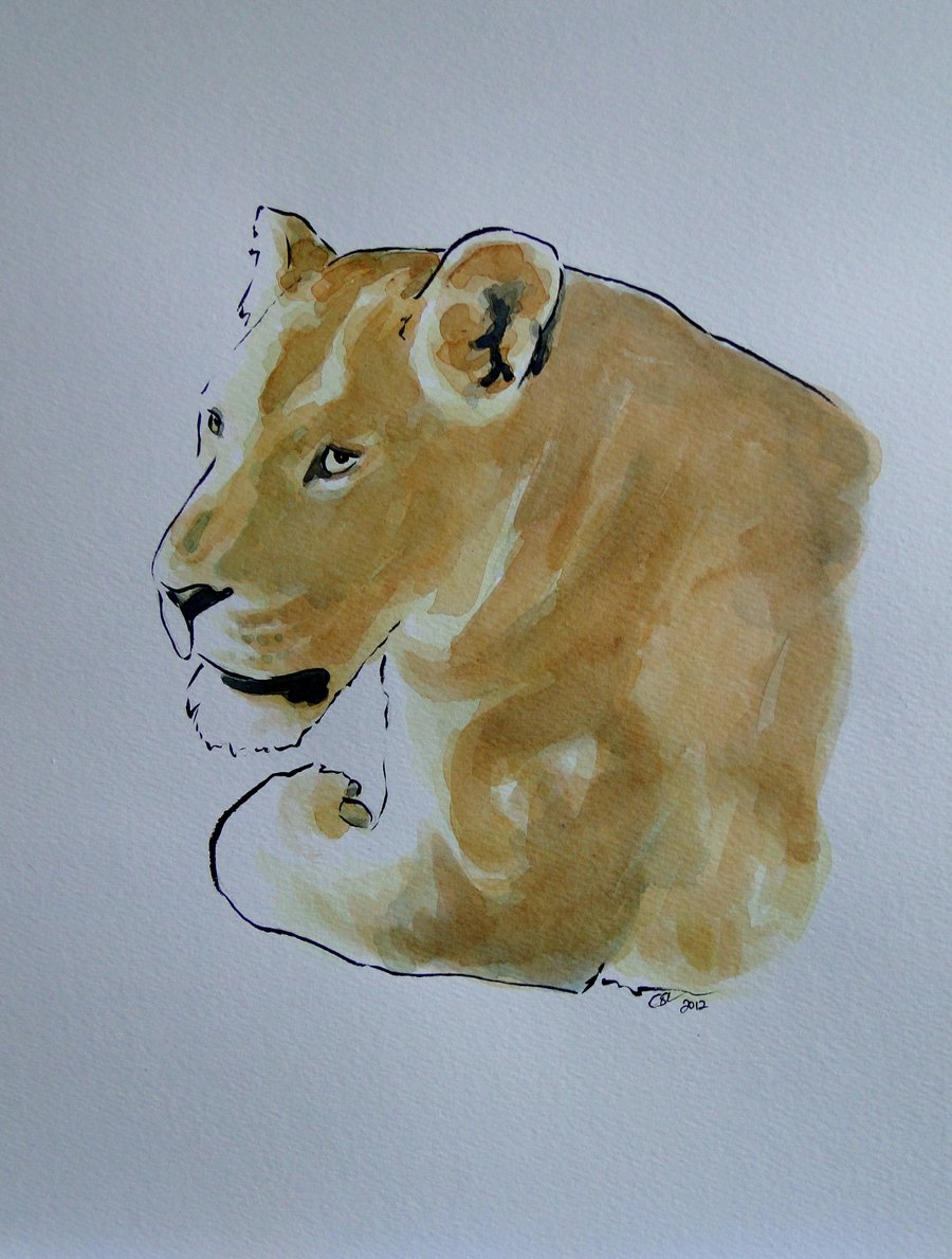 Lioness Original Watercolour & Ink Painting OOAK