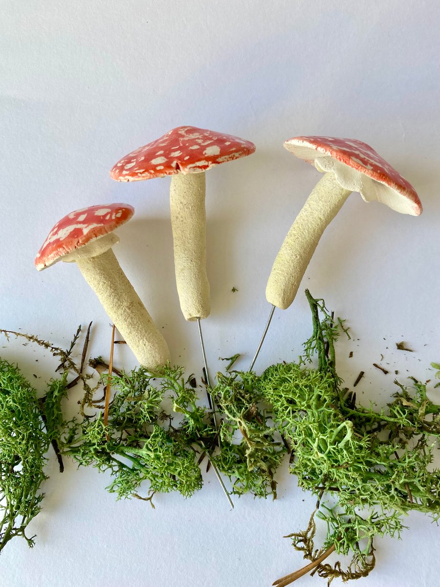 Ceramic Mushrooms