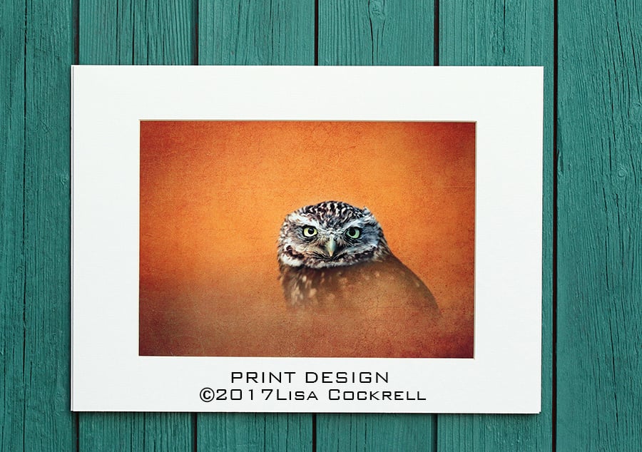 GOLDEN OWL PRINT  (A4 approx) MOUNTED FOR 40 X 30 CM FRAME