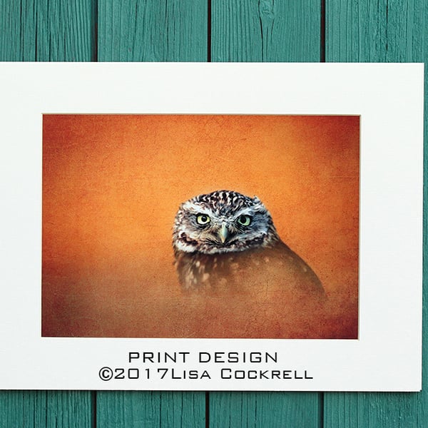 GOLDEN OWL PRINT  (A4 approx) MOUNTED FOR 40 X 30 CM FRAME