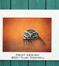 GOLDEN OWL PRINT  (A4 approx) MOUNTED FOR 40 X 30 CM FRAME - Image 1