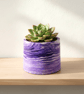 Small Purple Marbled Plant Pot - 7.5 cm Violet Mini Succulent Pot 