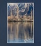 CJ220 - Tree streaks - Image 2