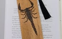 PYROGRAPHY 