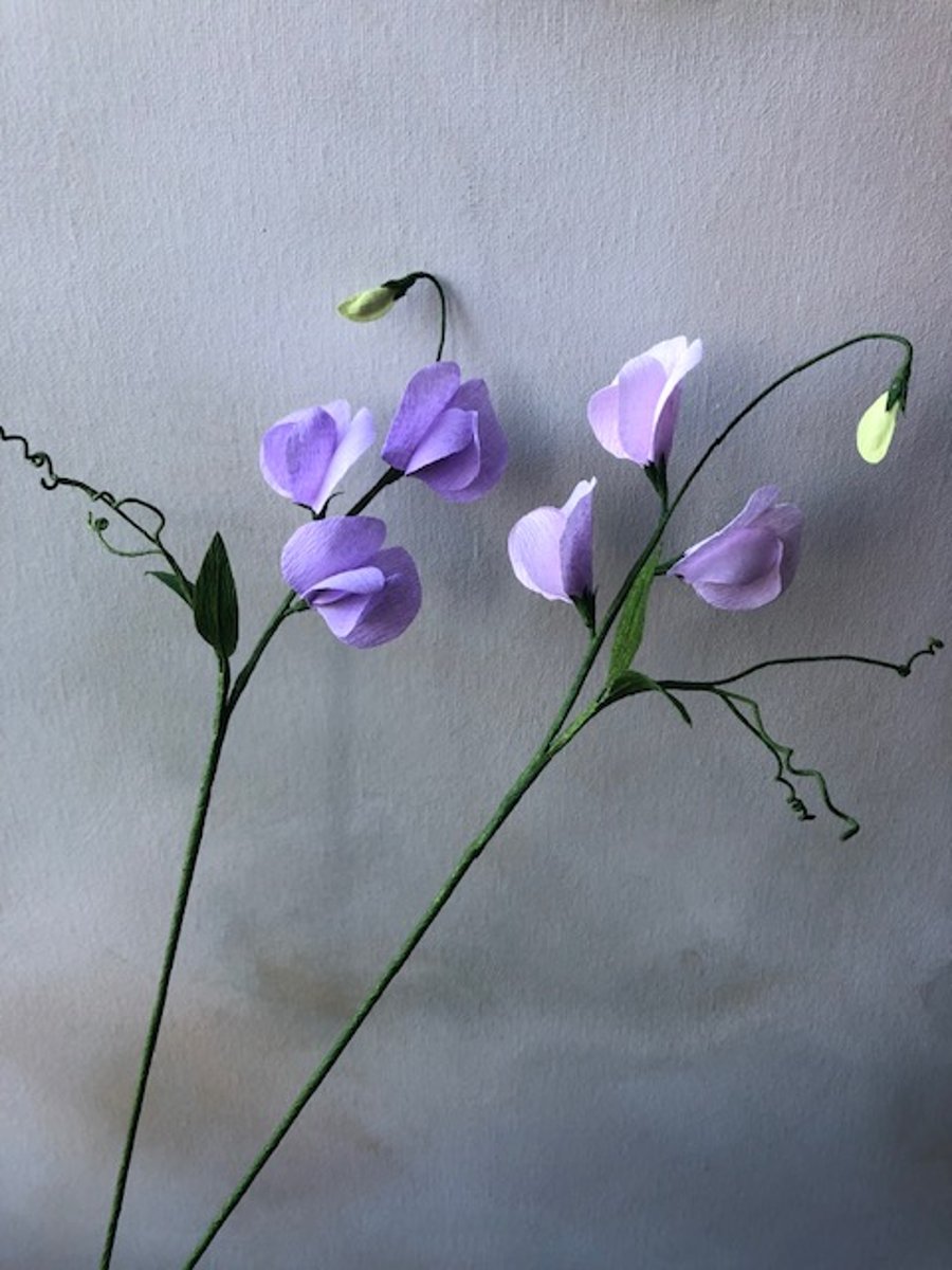 Paper flowers - sweet pea