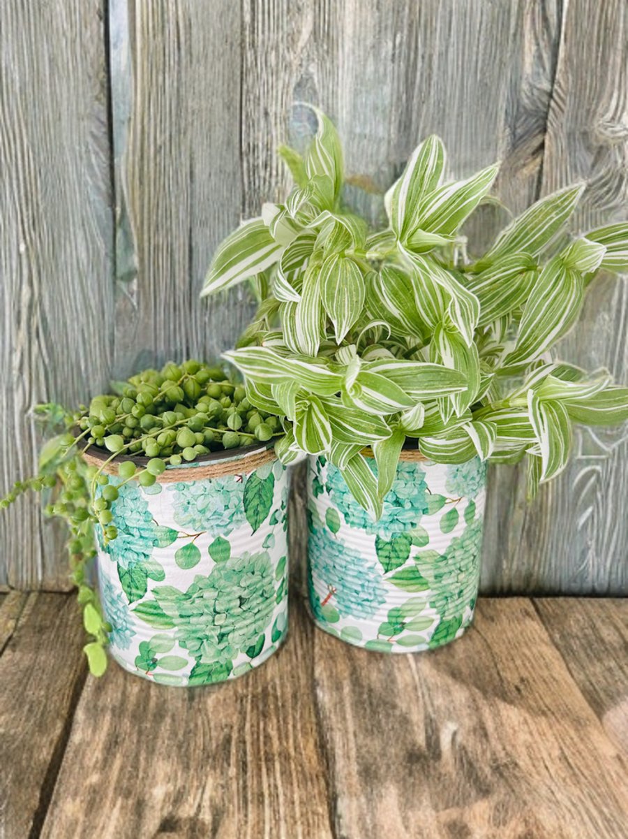 Green Hydrangea Plant Pot Set of 2 - 10cm