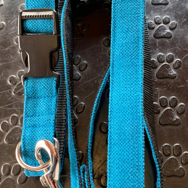 Lead and collar 