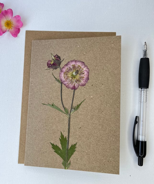 Handmade Real Pressed Flower Greeting Card, Birthday, Thank You, Anniversary 