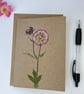 Handmade Real Pressed Flower Greeting Card, Birthday, Thank You, Anniversary  - Image 1