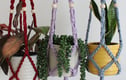Plant hangers