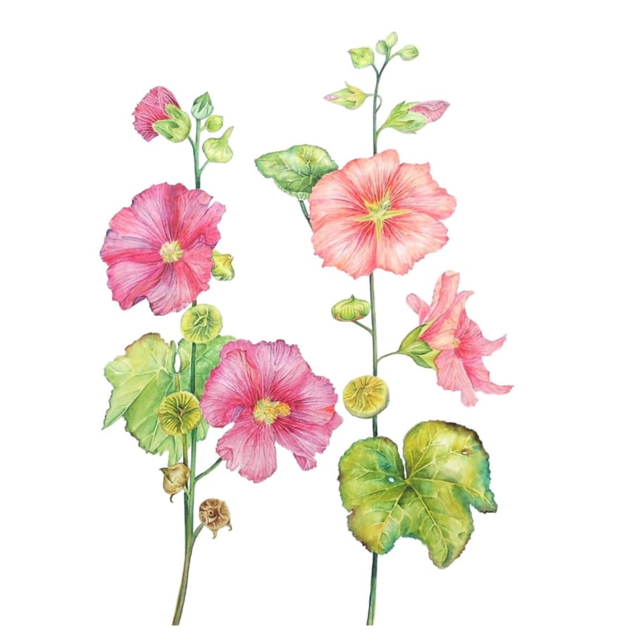 Pink and Red Hollyhock Garden Flower Watercolour Original Painting