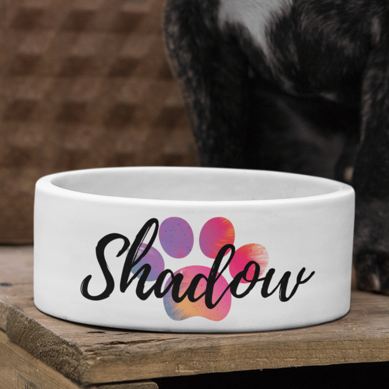 Personalised Name Pet Bowls Pet Paw Water Colour Variations Small Large Custom 
