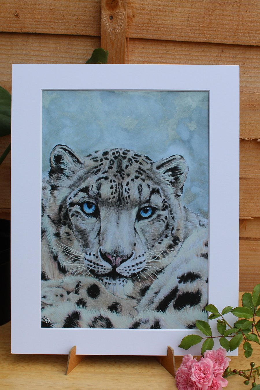 'Grey Ghost of the Mountain' Art Print - Mounted - Snow Leopard Wildlife Artwork