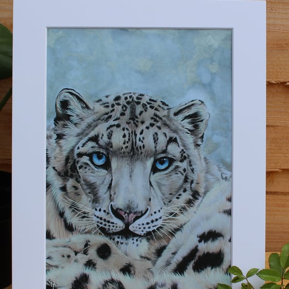 'Grey Ghost of the Mountain' Art Print - Mounted - Snow Leopard Wildlife Artwork