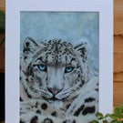 'Grey Ghost of the Mountain' Art Print - Mounted - Snow Leopard Wildlife Artwork