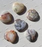 6 Crazy Lace Agate Solid Gemstone Polished Hearts - 20mm - Chakra - Crafting - Image 3