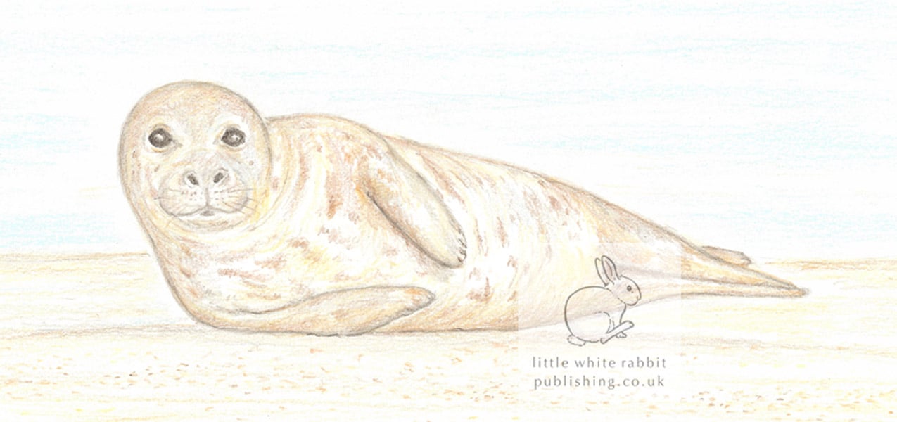Seal - Blank Card
