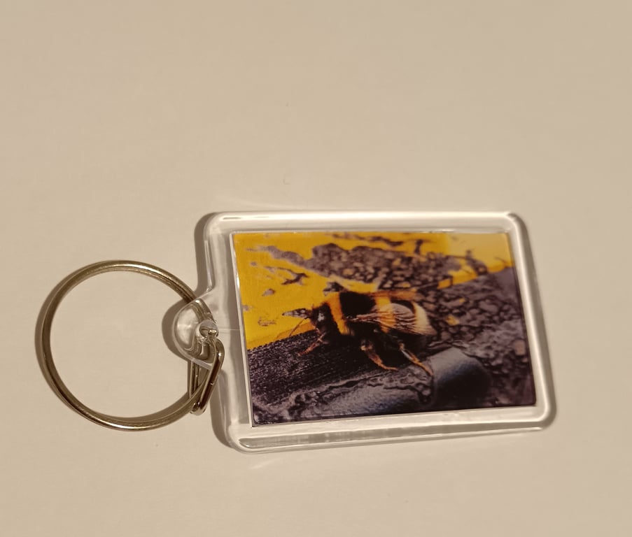 Bumblebee themed rectangular photography keyring