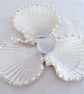Metallic pearl shell trinket dish with freshwater pearls and crystals.