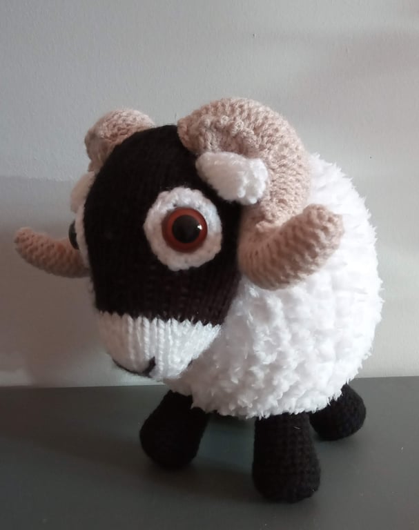 Sammy the Swaledale Sheep