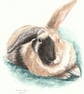 Custom A6 Pet Portrait WATERCOLOUR PAINTING - Image 5