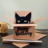 Black Cat Birthday Card - Cat in a box card. Happy Birthday 3D gift card holder.
