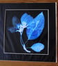 Blossom Print from Original Photogram - Black mount to fit 12 inch square frame