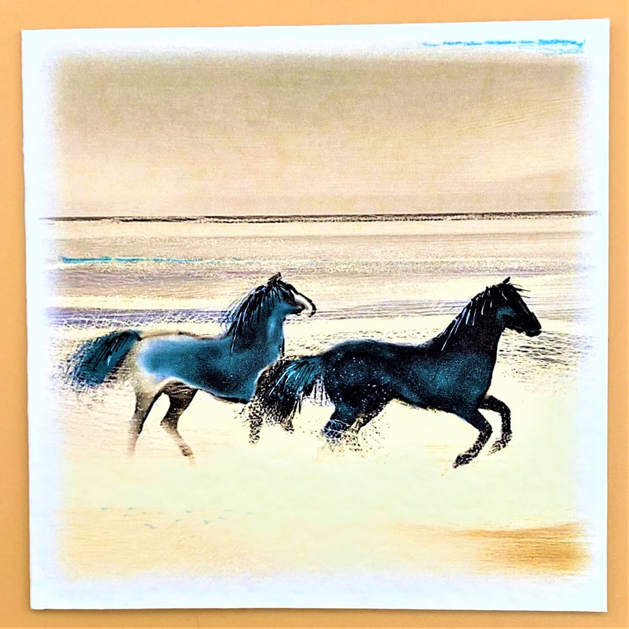 Greetings Card, Horses splashing in waves on a beach, Blank for own message. 