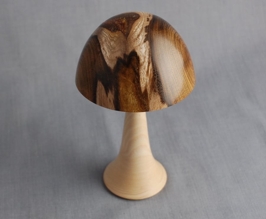 Toadstool in Laburnum