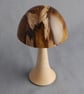 Toadstool in Laburnum - Image 1