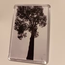 Black and white sepia tree photography fridge magnet 