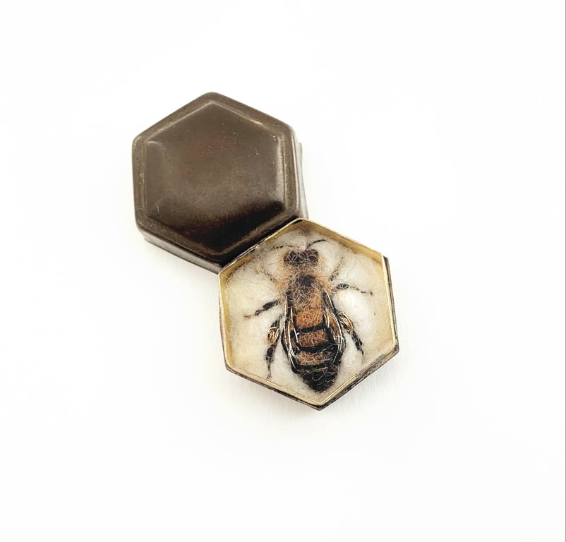 Bee 216, Apis mellifera - Female or worker honey bee.