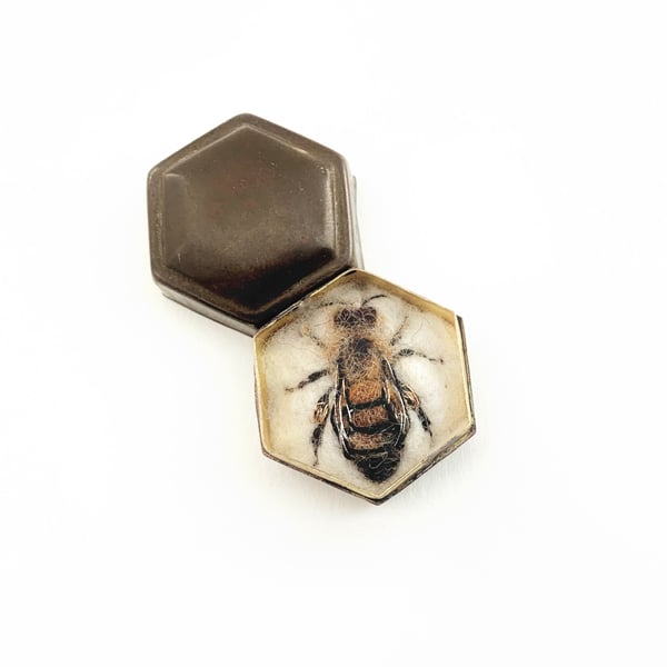 Bee 216, Apis mellifera - Female or worker honey bee.