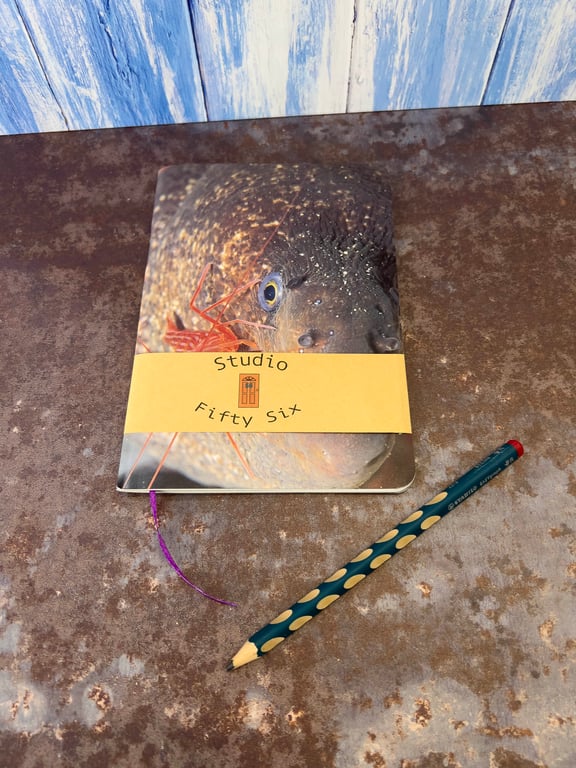 Notebook, Marine themed, A5 (ish), made from up-cycled & recycled materials.