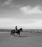 Coastal Therapy - Image 1
