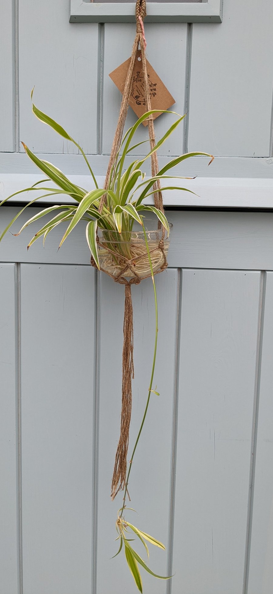 Macramé Plant Pot Holder Hanging Basket