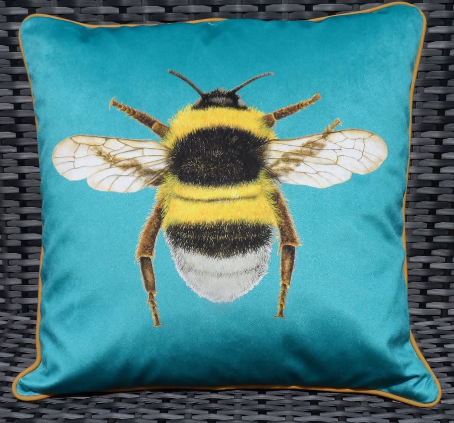 Velvet Bee cushion in turquoise velvet.