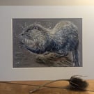 Otter, an A4 or A3 print of an original drawing