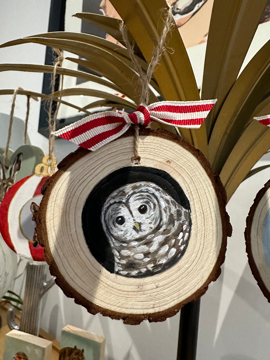 Tawny Owl Wood Slice Christmas Tree Decoration 