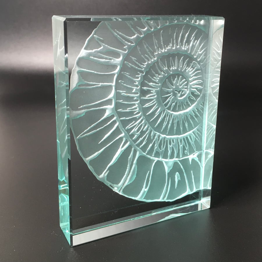 Ammonite Glass Block