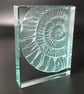 Ammonite Glass Block - Image 1